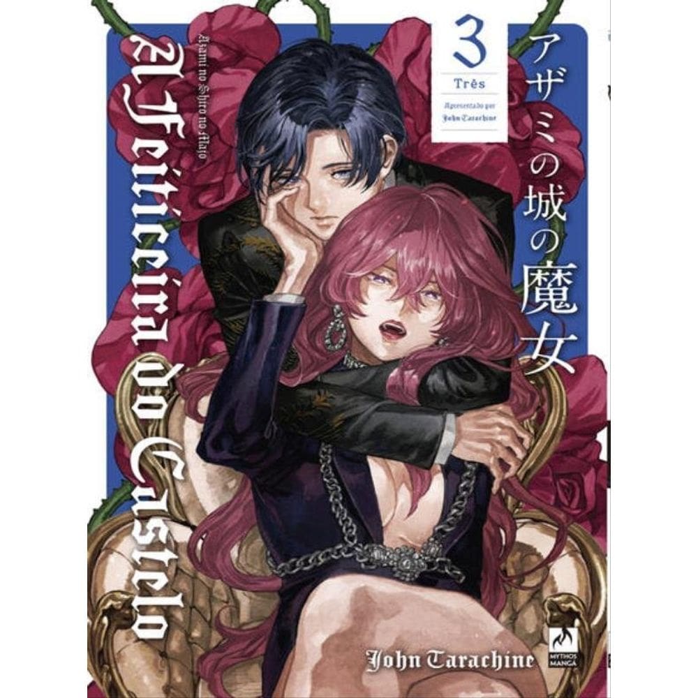 A Feiticeira Do Castelo 3 (De 4) - Vol. 3