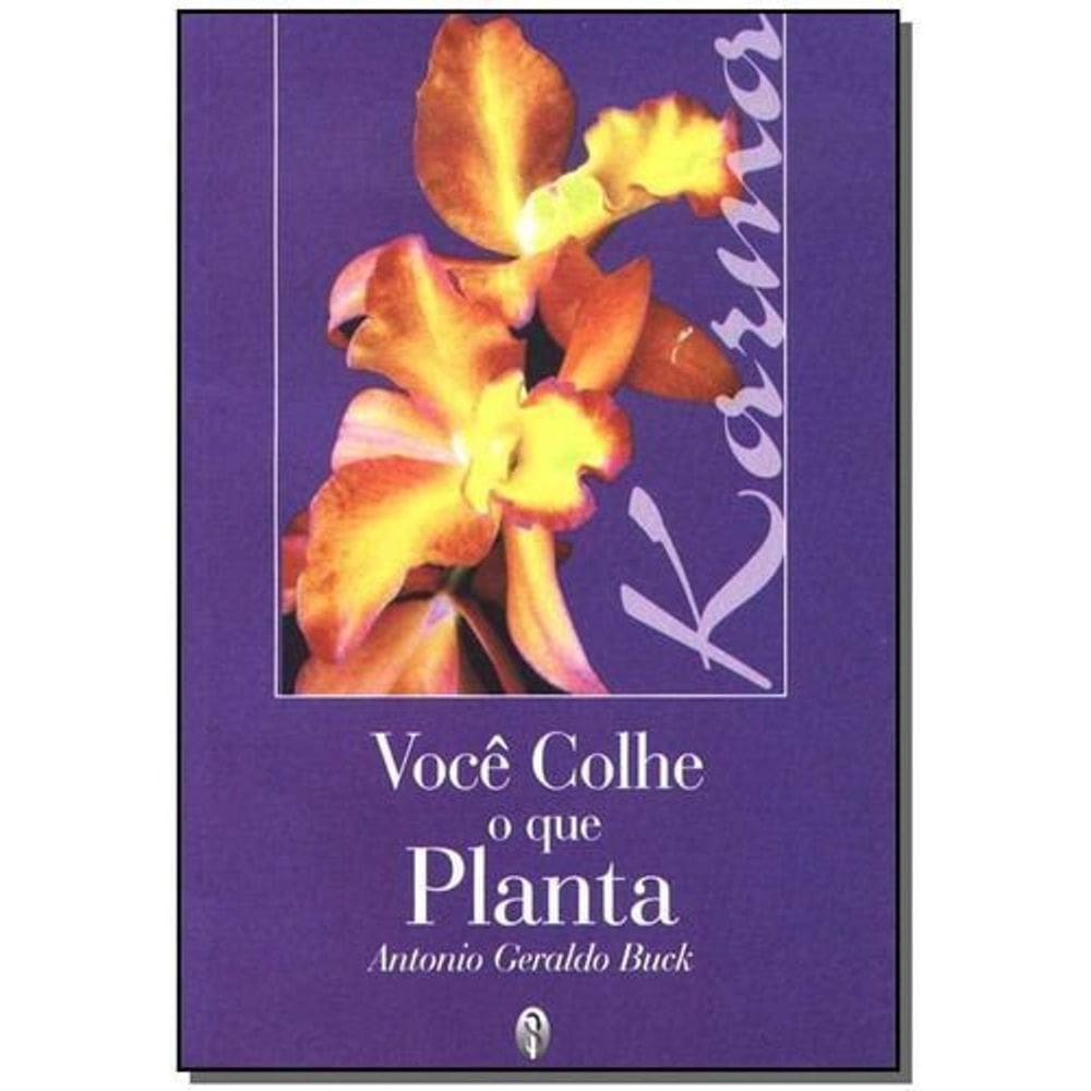 Você Colhe o Que Planta