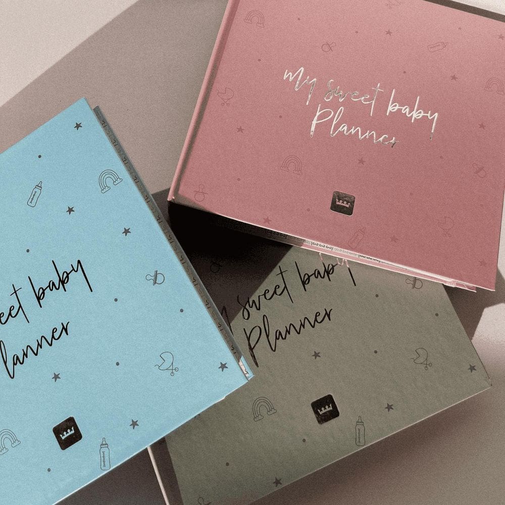 Fichário De Maternidade Wonder Planner Organize Seu Bebê