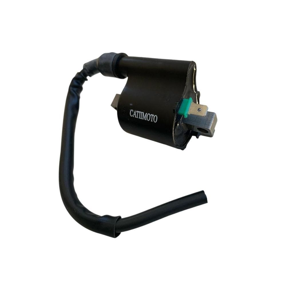 Bobina Ignição Honda Biz 100 2013 A 2015 1 Linha