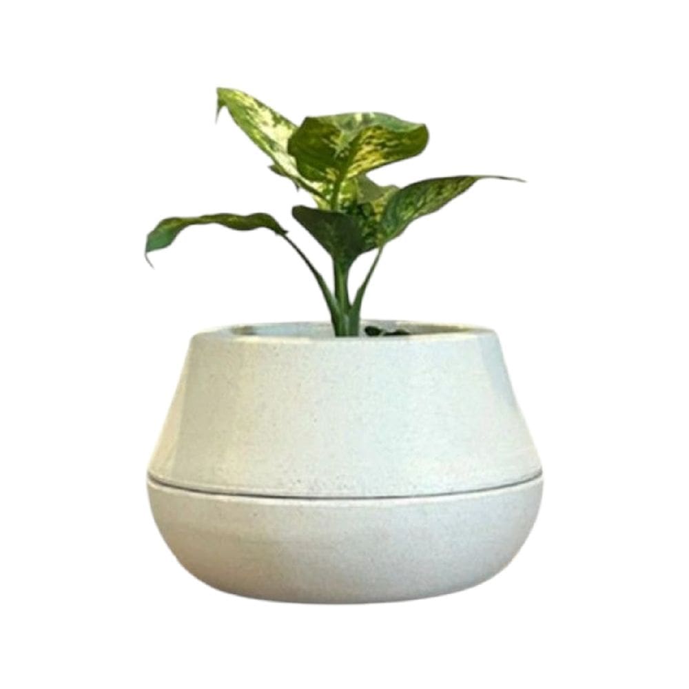 Vaso Inteligente Brota Cuia P Autoirrigável Decoração Planta