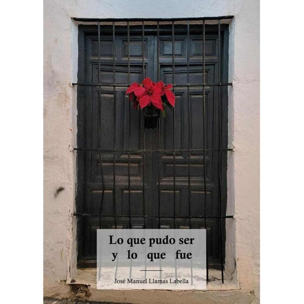 Lo que pudo ser y lo que fue - Espanhol