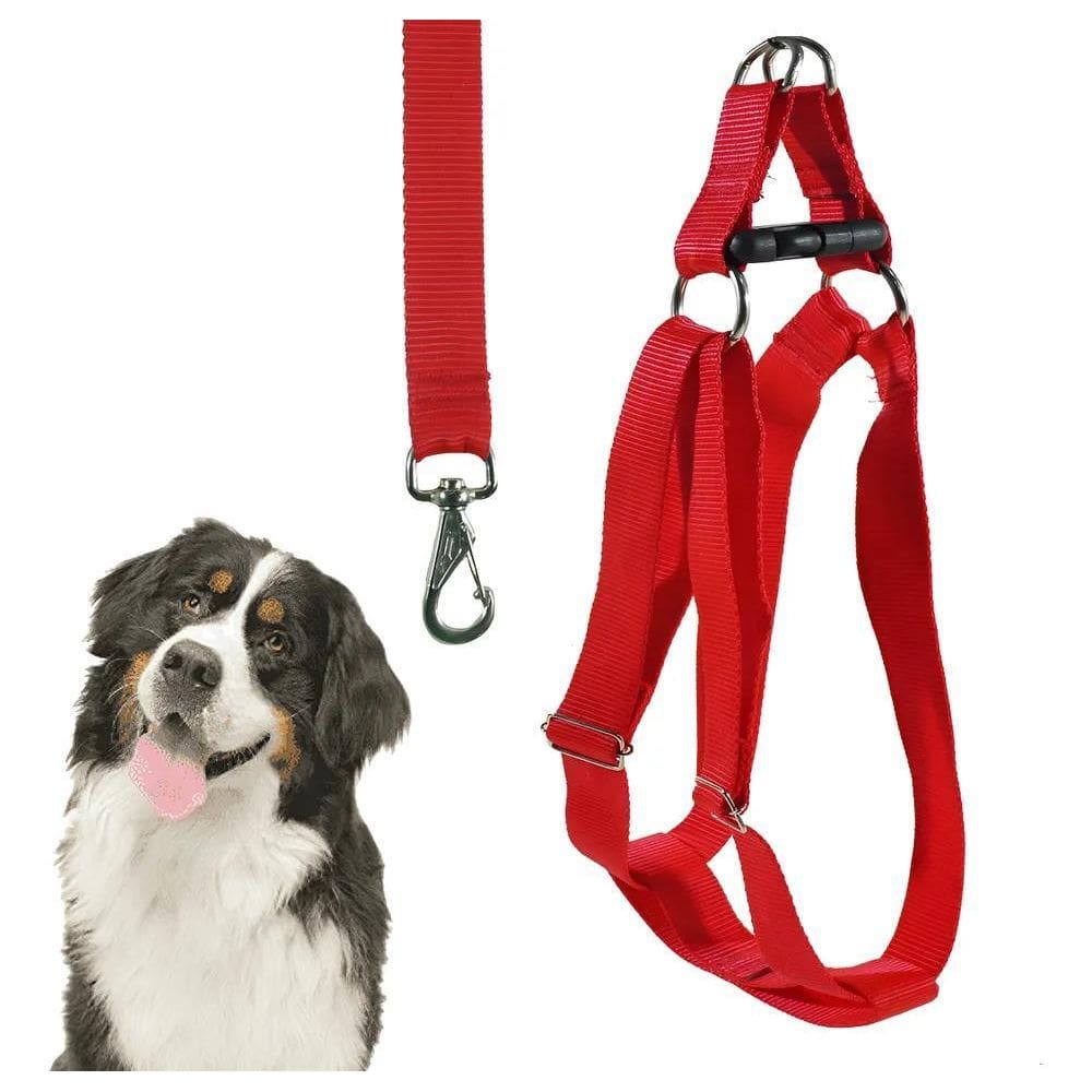 Coleira Cachorro Peitoral Porte Grande Pitbull Golden Vermel