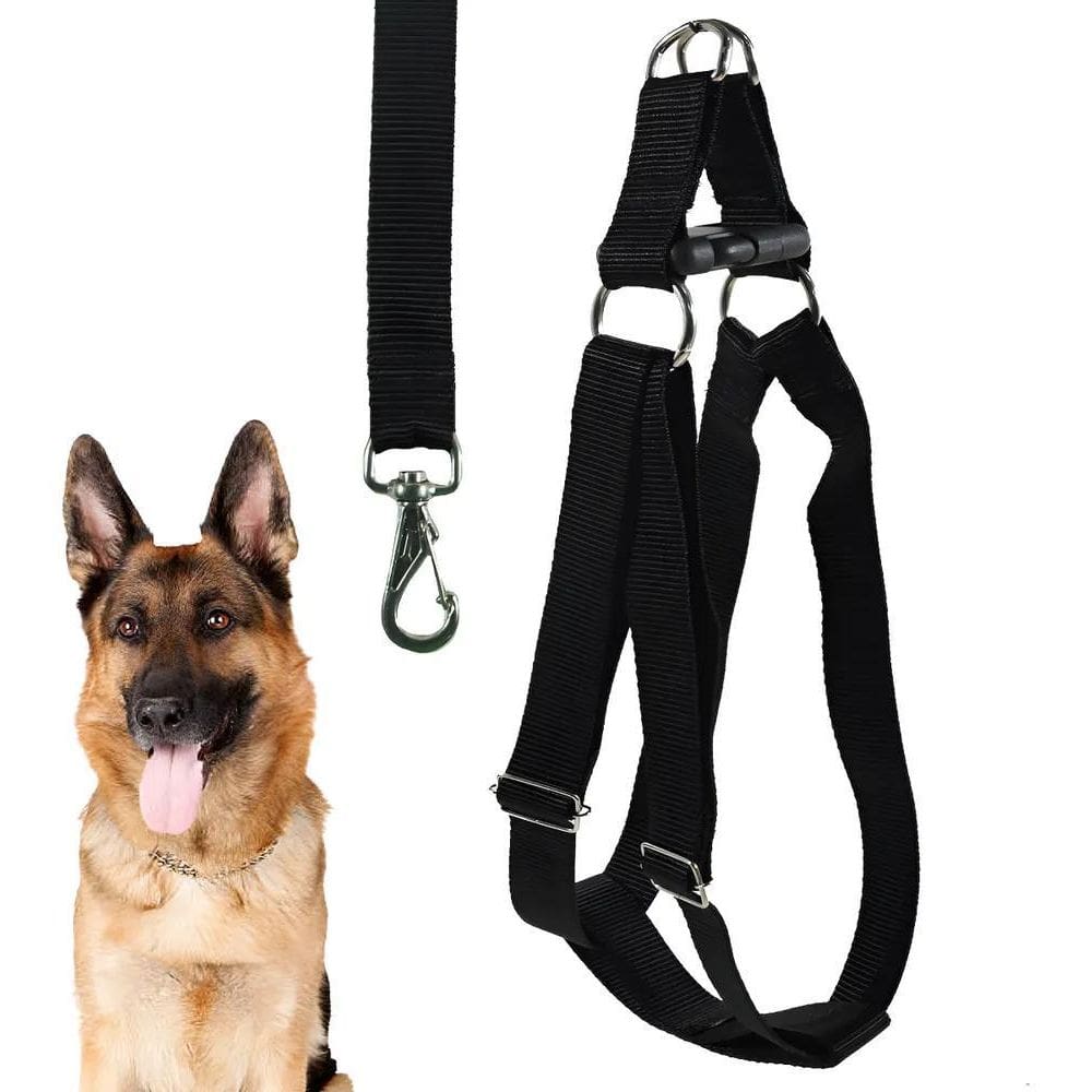 Coleira Cachorro Peitoral Porte Grande Pitbull Golden + Pre