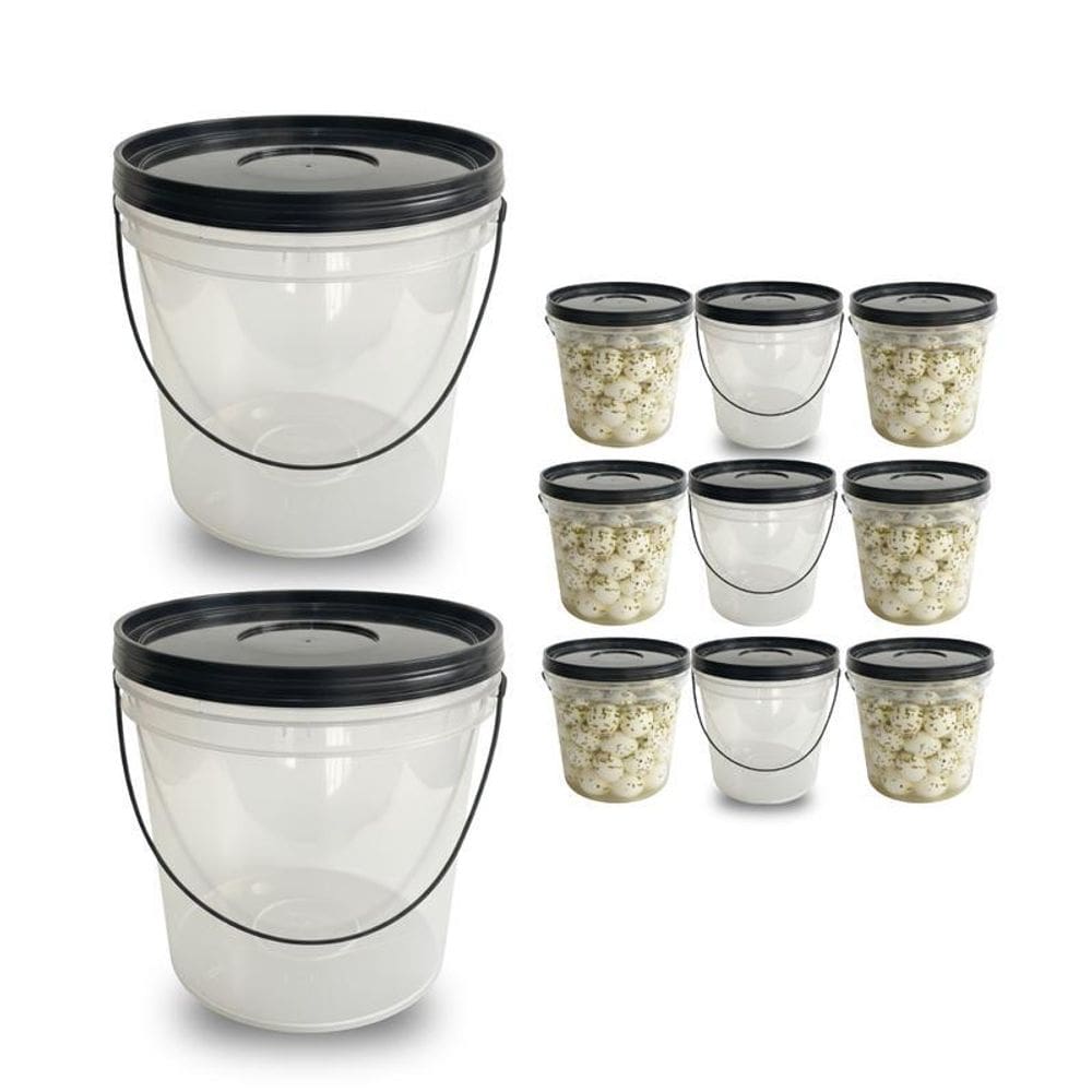 Balde Transparente 3.2L Para Pate - 9 Pçs