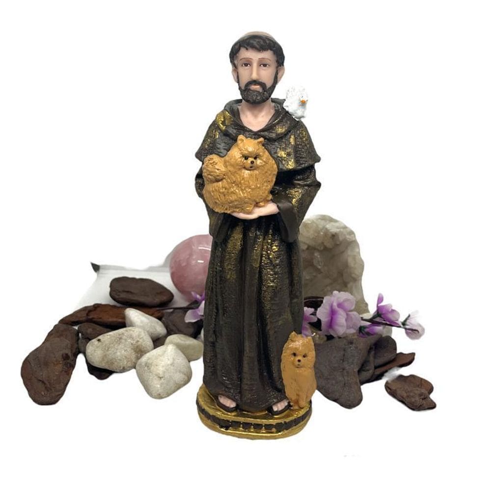 Escolha Sua Imagem Católica Proteção Em Resina