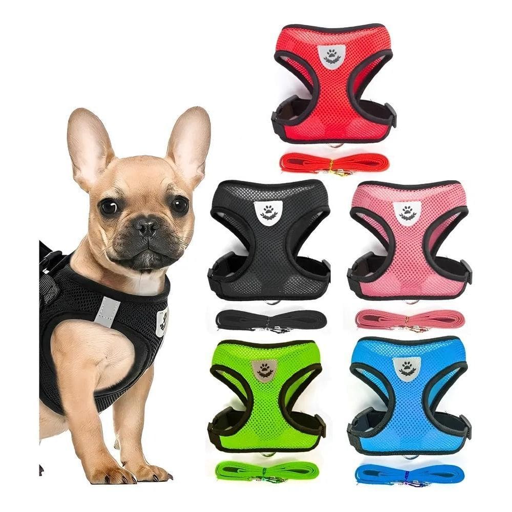 Coleira Peitoral Cachorros Cães E Gatos Filhote Shi Preto -