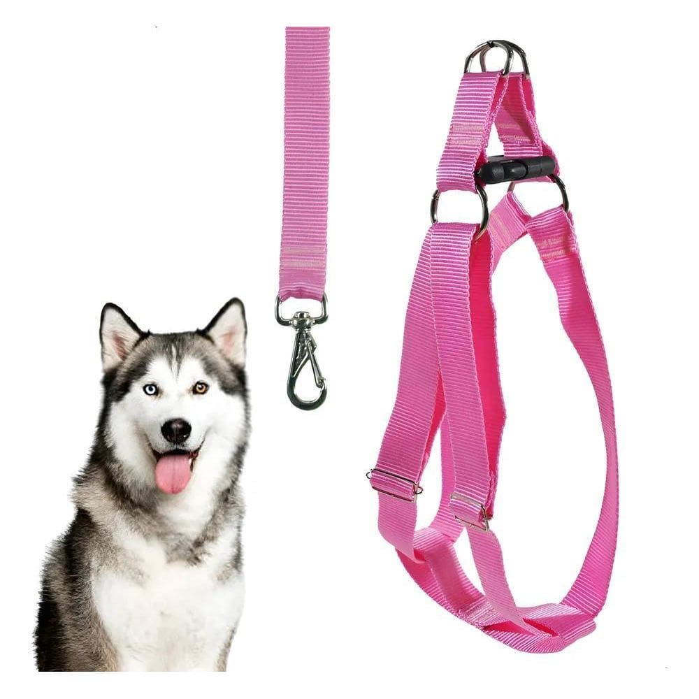 Coleira Cachorro Peitoral Porte Grande Pitbull Golden + G Ro