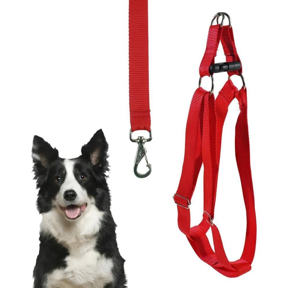 Coleira Cachorro Peitoral Porte Grande Husky Dálmata Vermelh