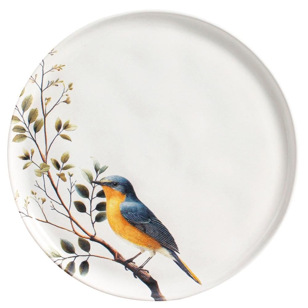 Conjunto com 6 Pratos Raso Bio Birdy