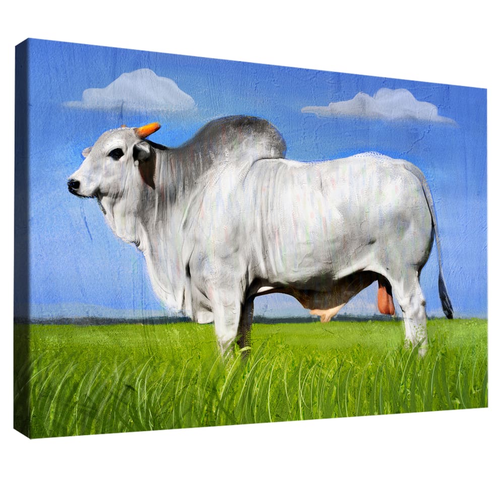 Quadro Decorativo Gado Nelore