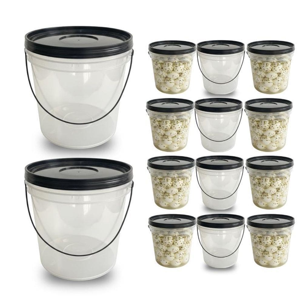 Balde Para Garrafas 3.2L Transparente - 12 Pçs