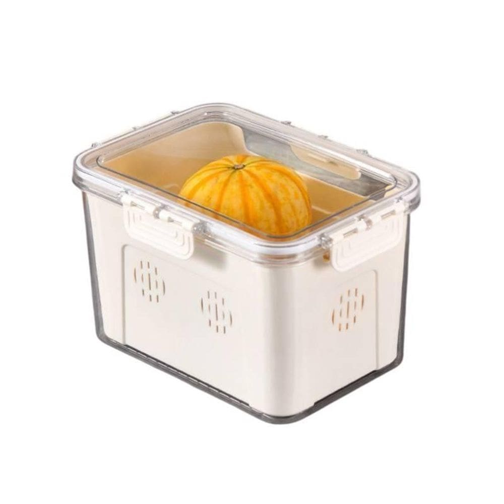 Caixa Organizador Tampa Hermética Com Travas 23,5X14X16,5Cm