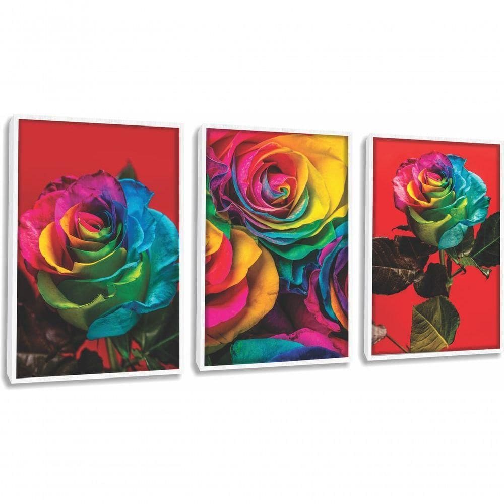 Quadro Decorativo Flor Colorido Fundo Vermelho Com Moldura Branco
