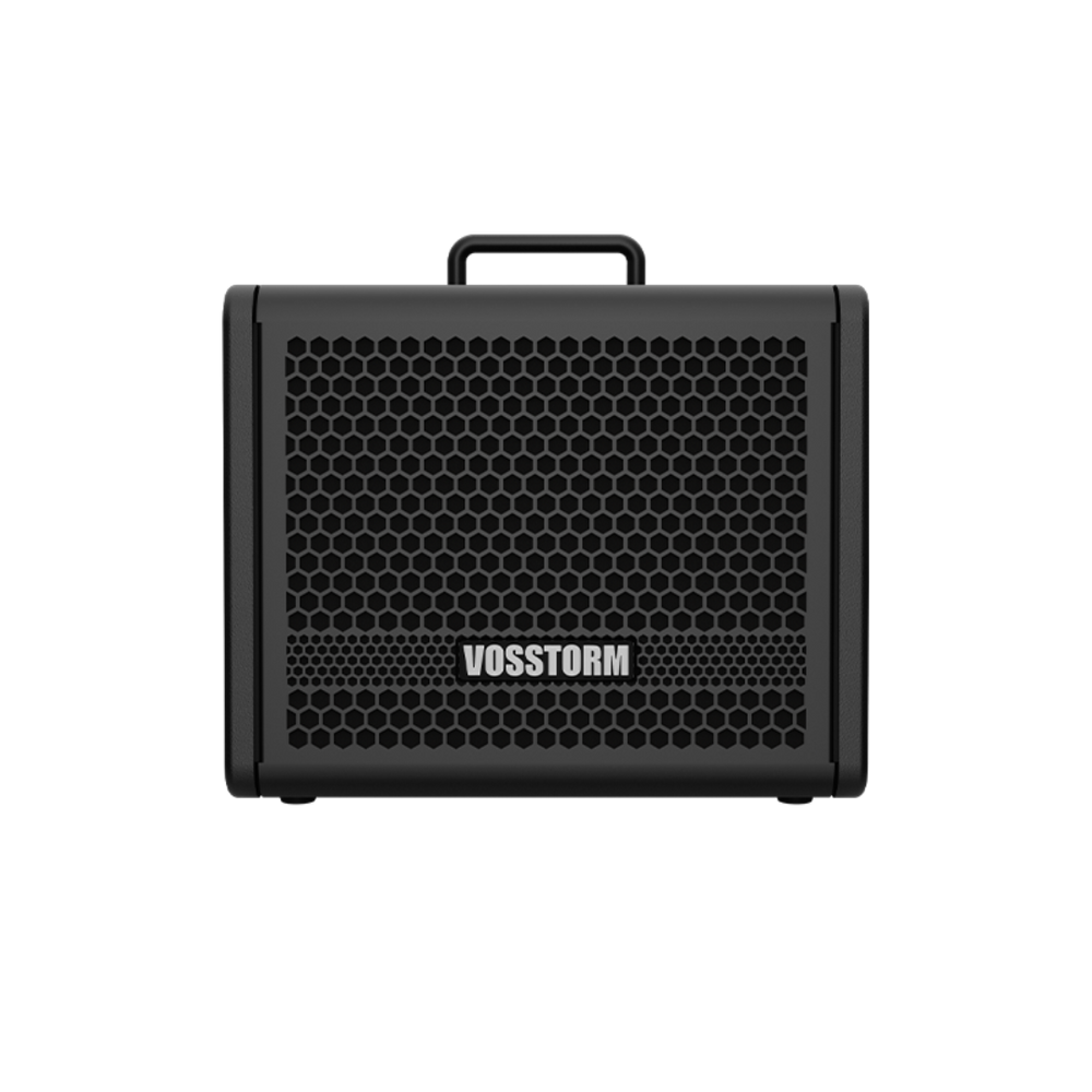 Amplificador Para Guitarra 8 Pol 25w Vosstorm Gx-8
