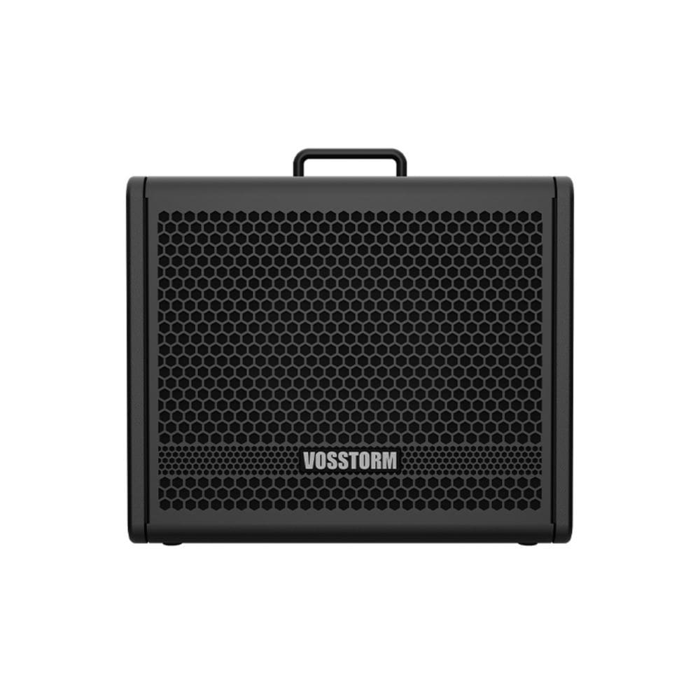Amplificador Para Guitarra 10 Pol 40w Vosstorm Gx-10