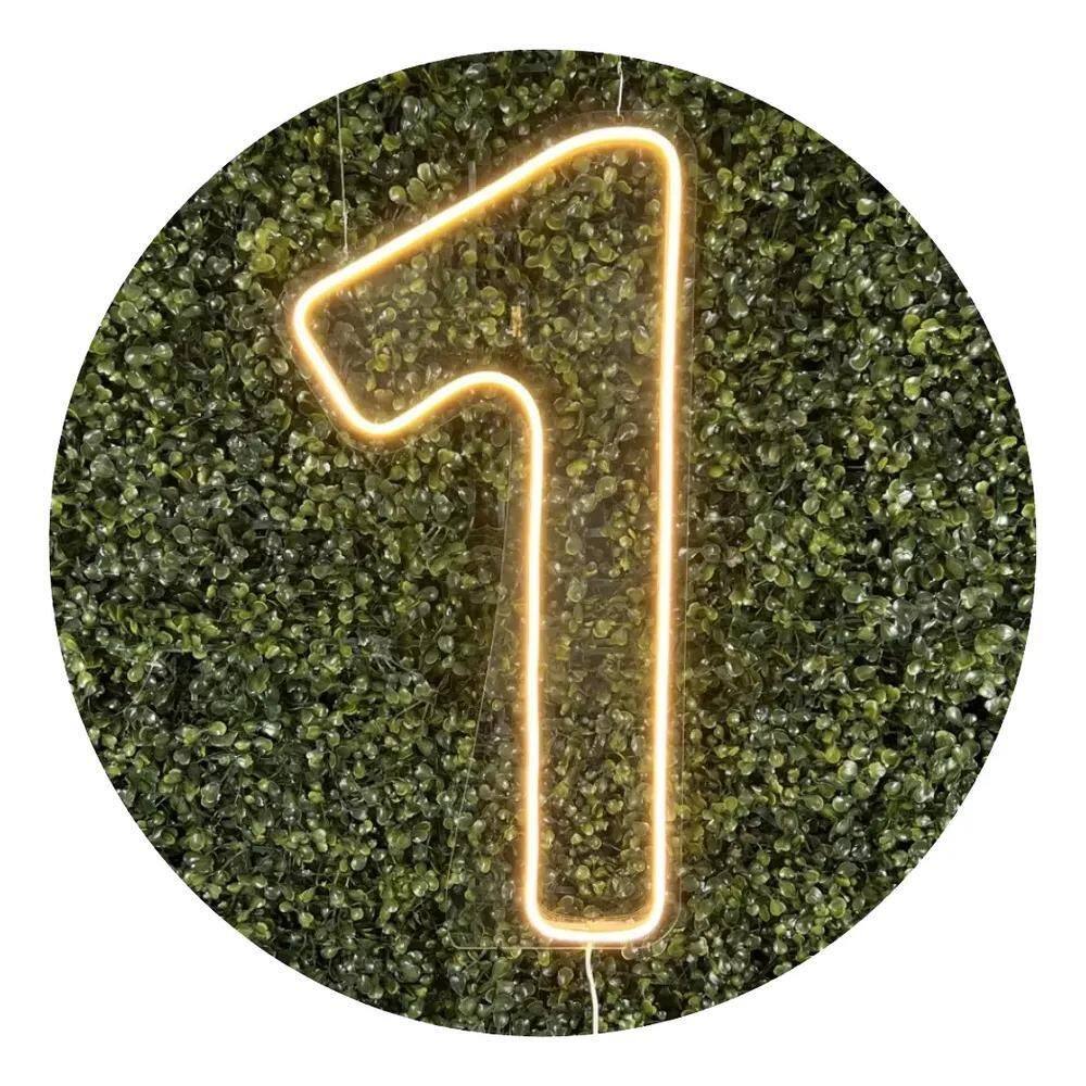 Números De Neon Led 0 A 9 Painel Placa Decoração 1 Branco Fr