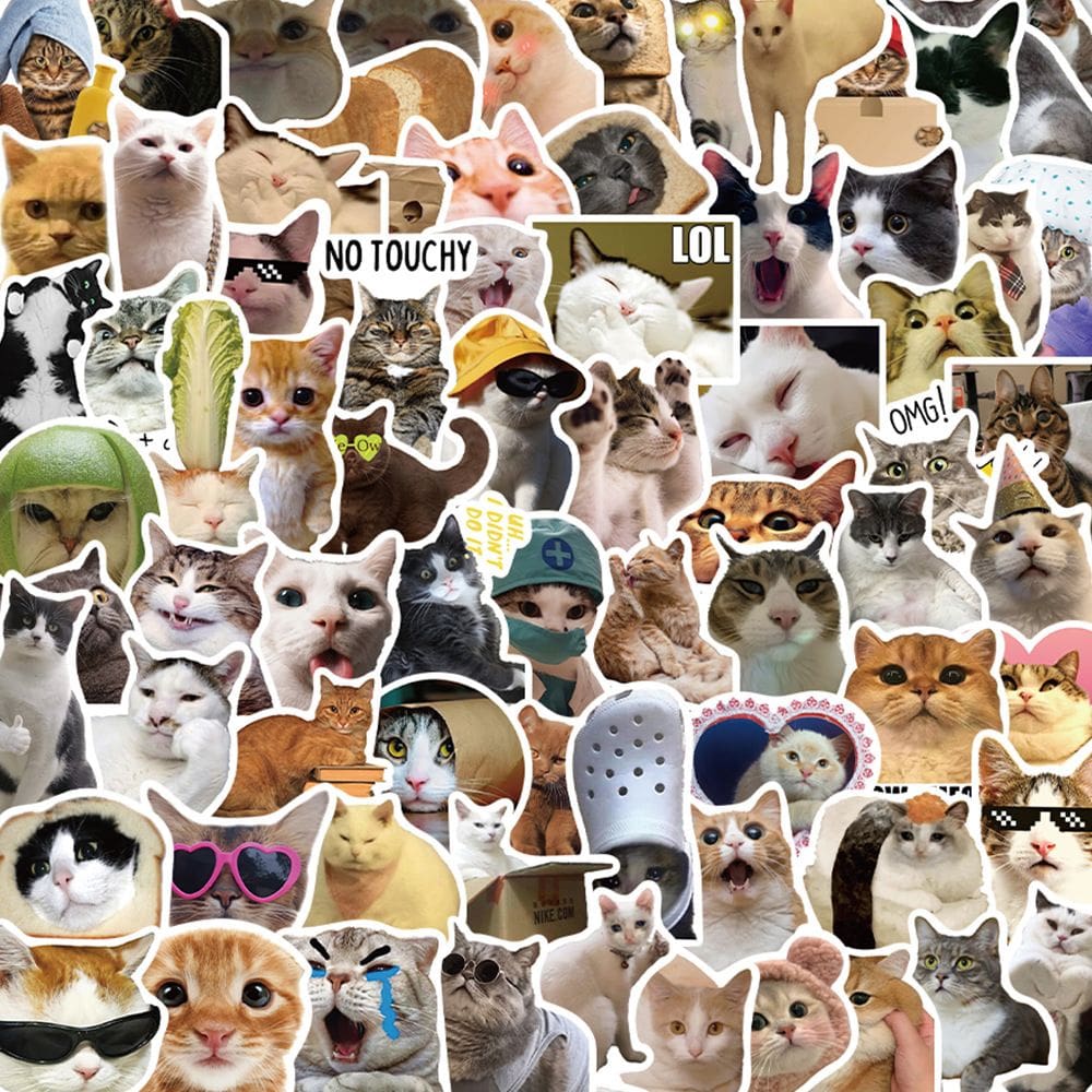 Pacote de adesivos Funny Cat Meme Face Expression 100 unidades