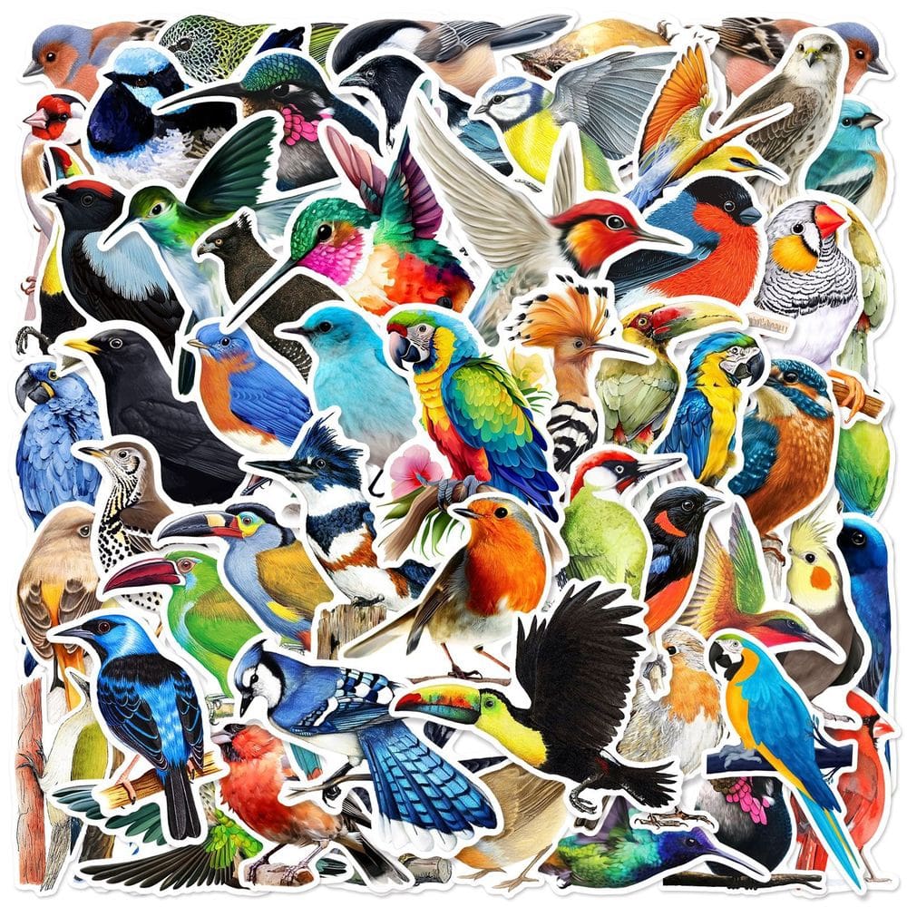 Pacote de adesivos em aquarela Bird, 50 unidades de vinil de animais exóticos