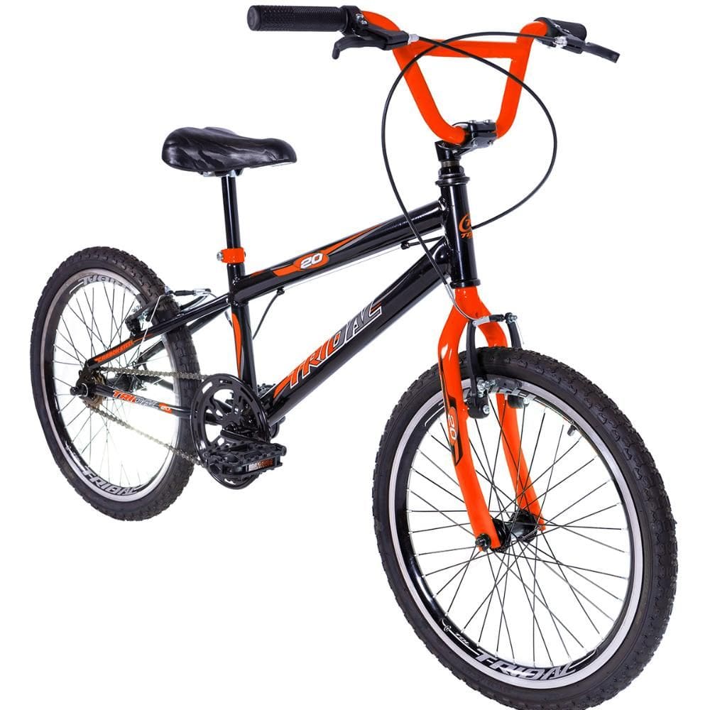 Bicicleta Infantil Aro 20 BMX Carbon Steel Tridal Bike com Freios V-Brake