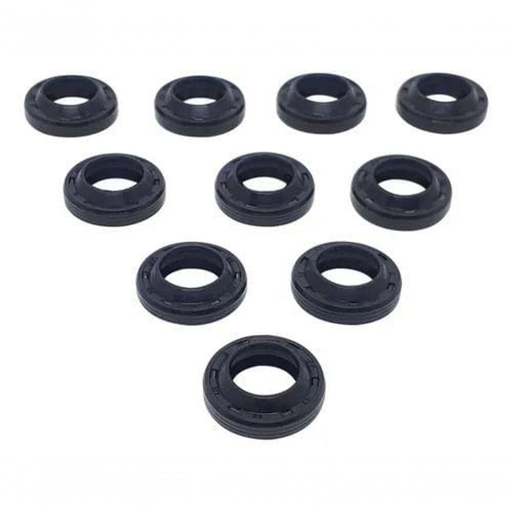 Anel Raspadorador 12 X 20 X 4/6 - Kit 10 Peças Karcher