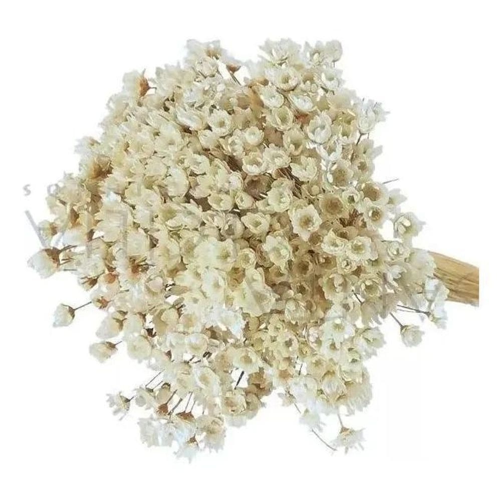 2X Sempre Viva Florzinha Branca I Flores Desidratadas