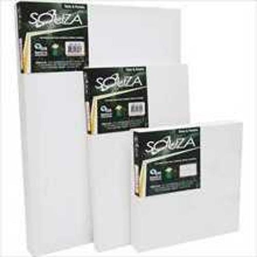 Tela P/Pintura De Tecido 30X50Cm Souza