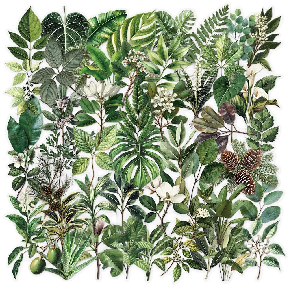 Adesivos Greens Leafs, vinil impermeável, anime, 50 unidades/lote