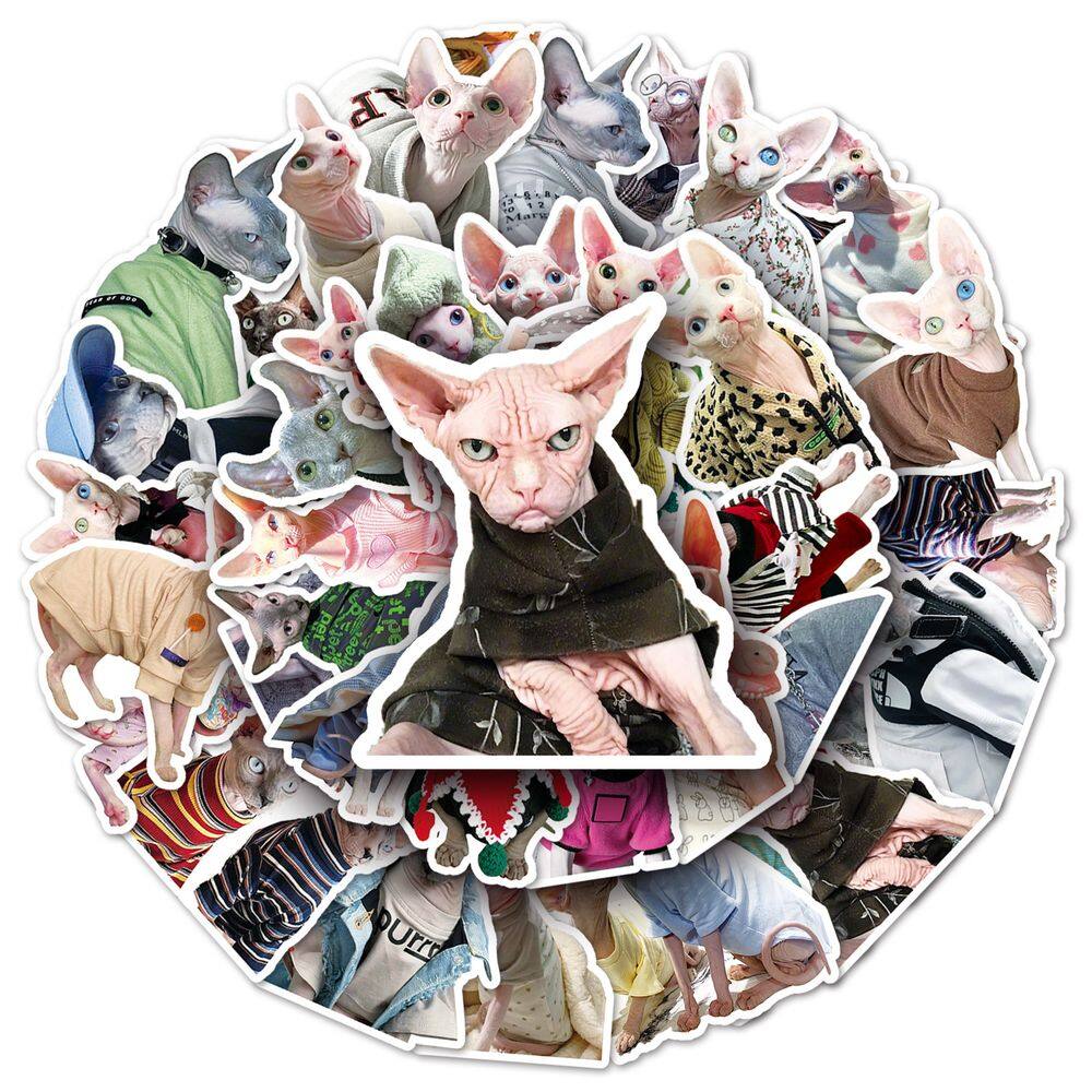 Pacote de adesivos Canadian Hairless Anime, vinil impermeável, 50 unidades