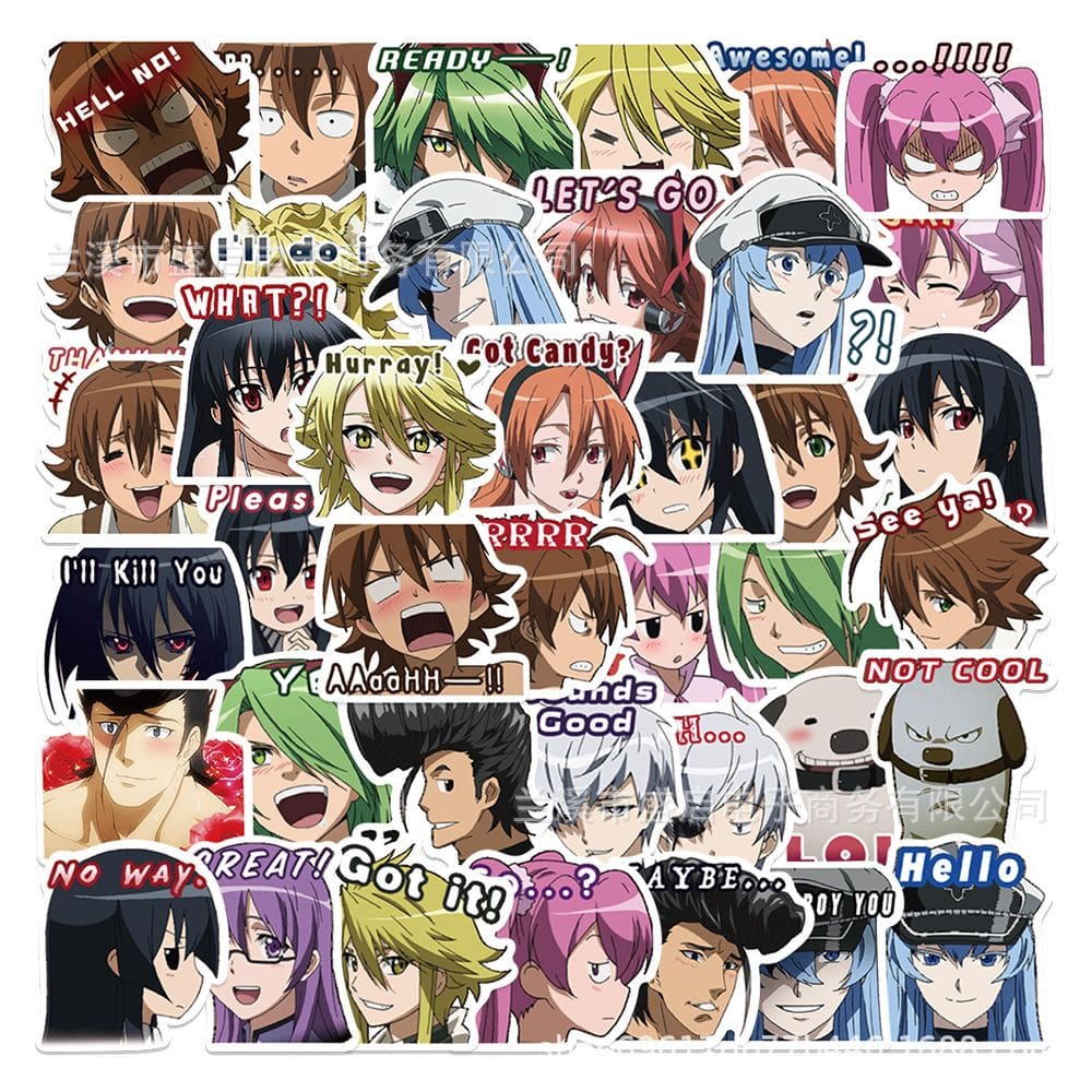 Pacote de adesivos Akames Ga Kills Akames Anime 40 unidades Waterprof V