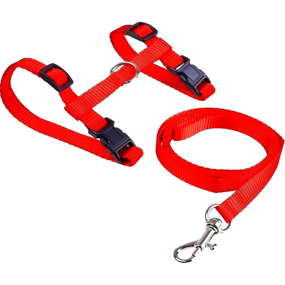 Coleira Peitoral Guia Gato Ajustável Passeio Seguro Vermelha