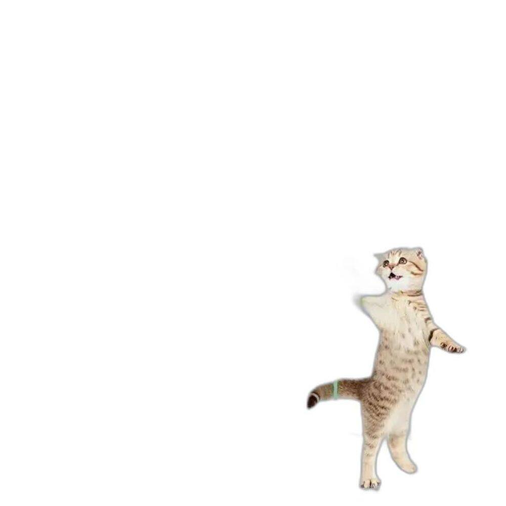 2X 3 Brinquedo Gato Porta Suspenso Pendurar Na Porta Elástic