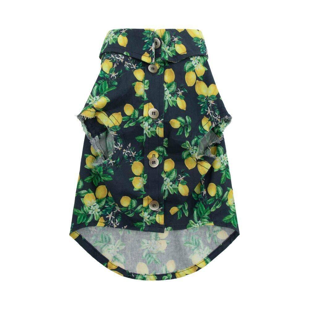 Camisa Limone Pet - Azul - Pp