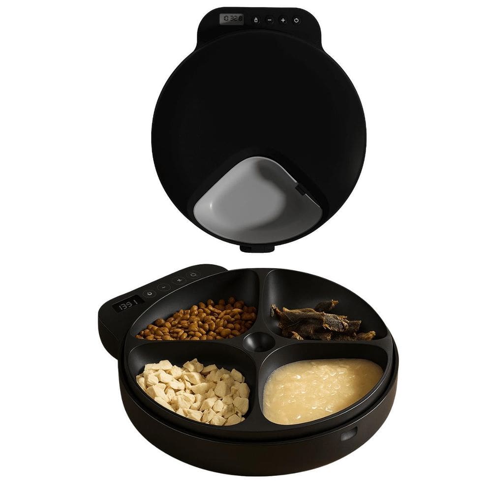 Comedouro Automático Gato Cachorro Programável Ração Pet
