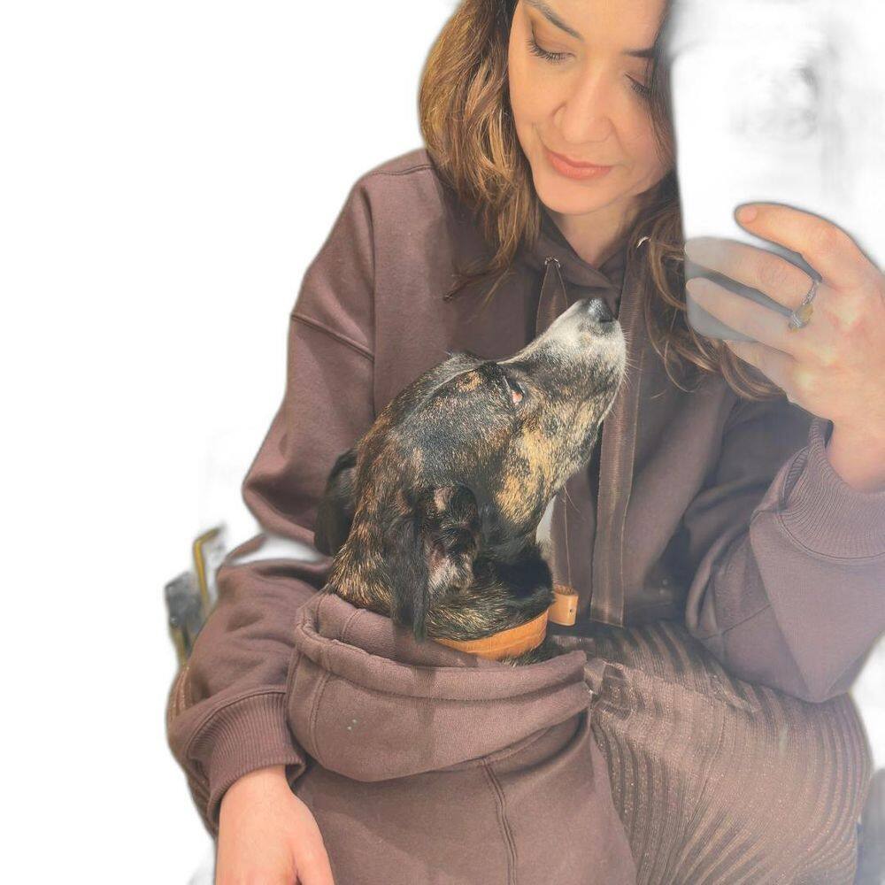 Moletom Basic Felpado Pet - Cinza - 1Gg