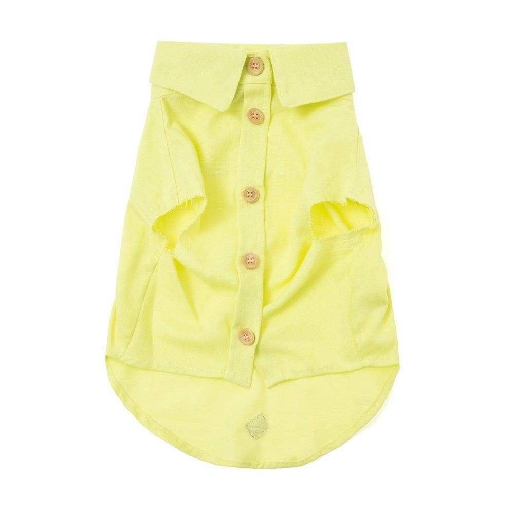 Camisa Guido Pet - Lemon - Gg