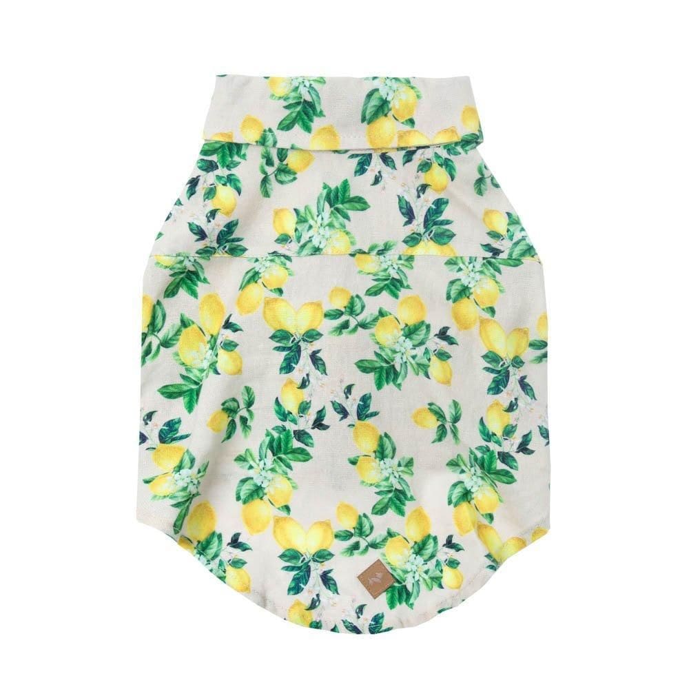 Camisa Limone Pet - Bege - G