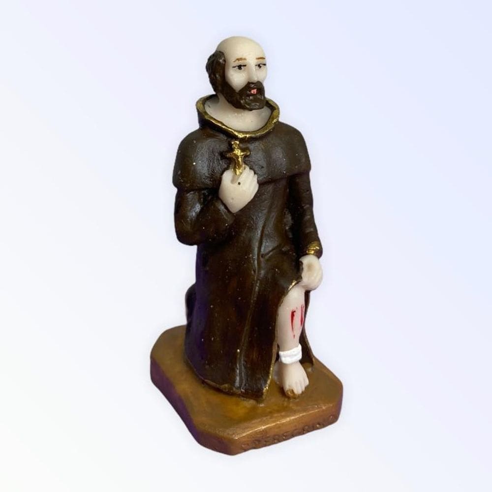 Escolha O Seu Santo Católico São Peregrino + Presente