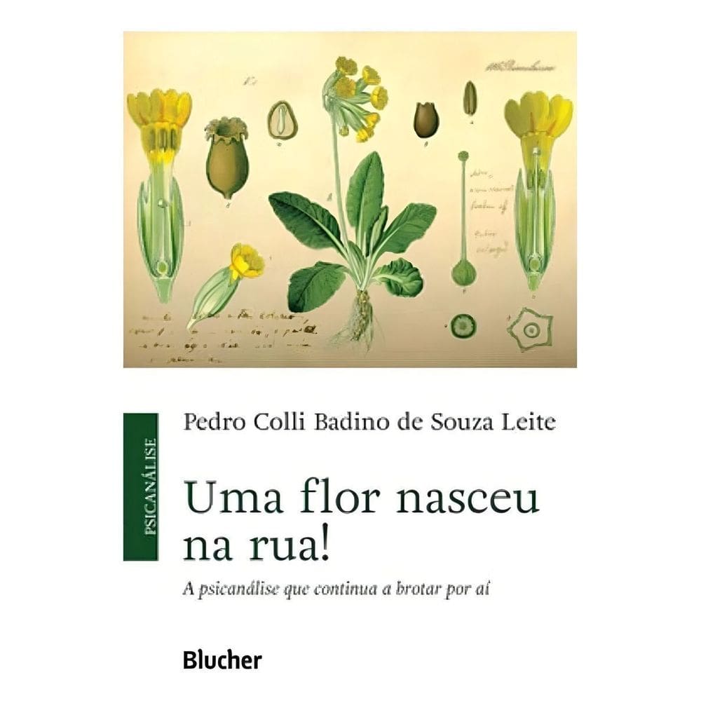 Uma Flor Nasceu na Rua!