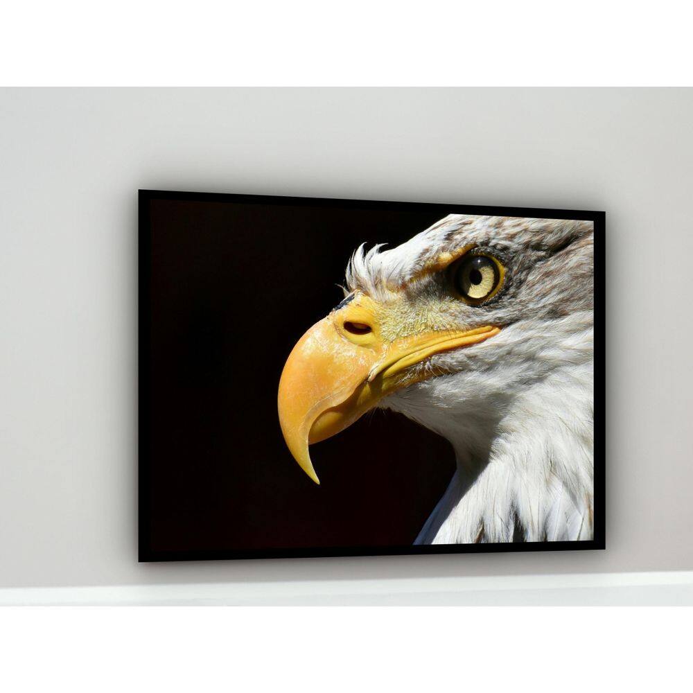 Quadro Decorativo Fotografia Perfil Águia - 70X50Cm