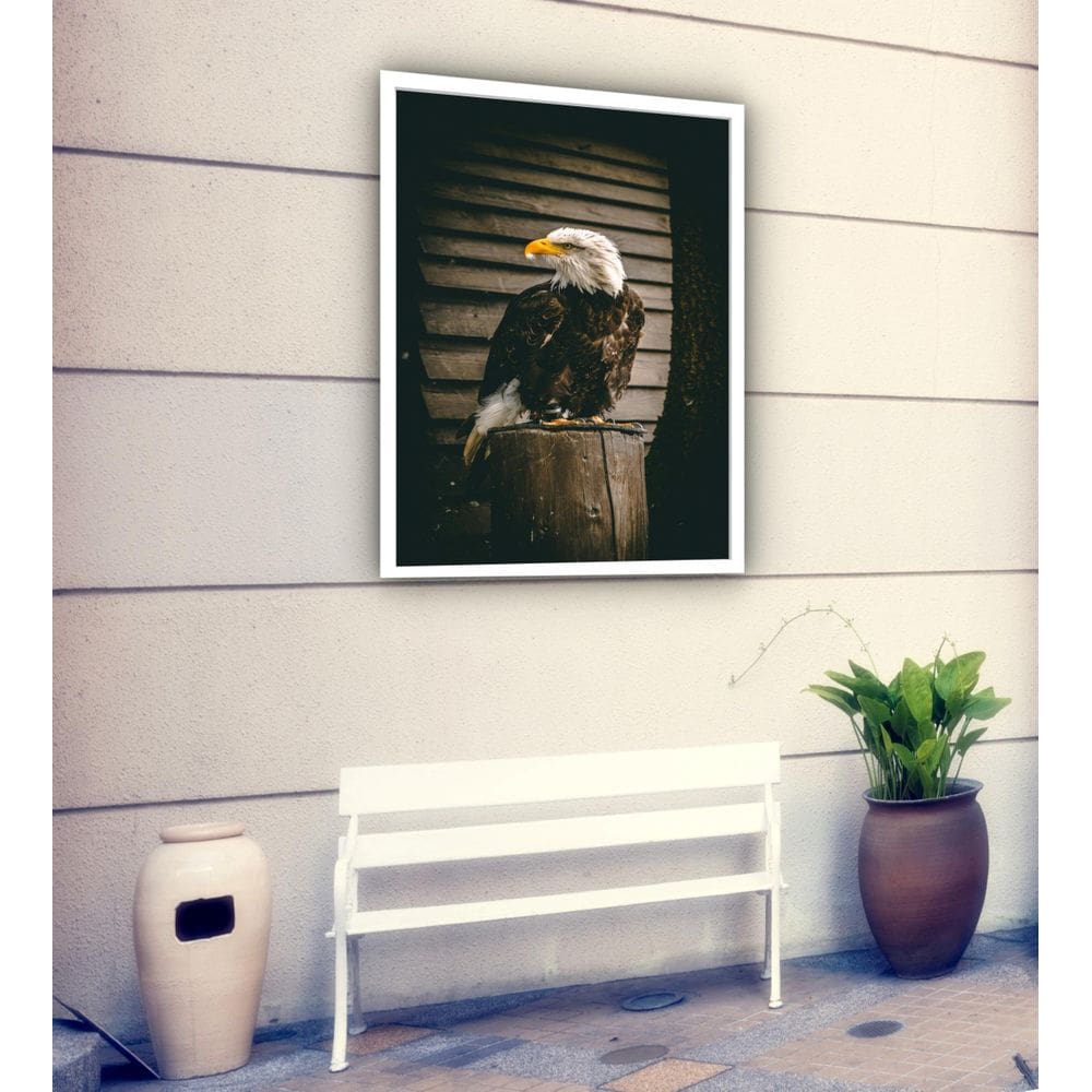 MP - Quadro Decorativo Fotografia A guia Tron