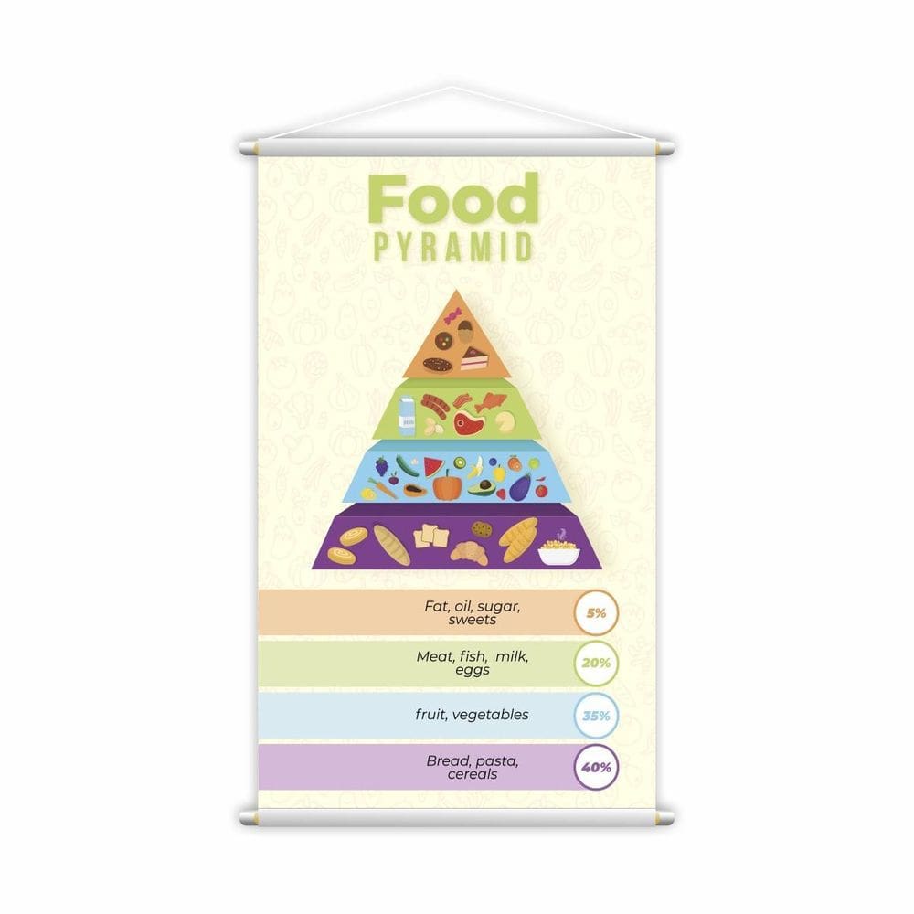 Food Pyramid Piramide Alimentar Em Inglês Banner Grande
