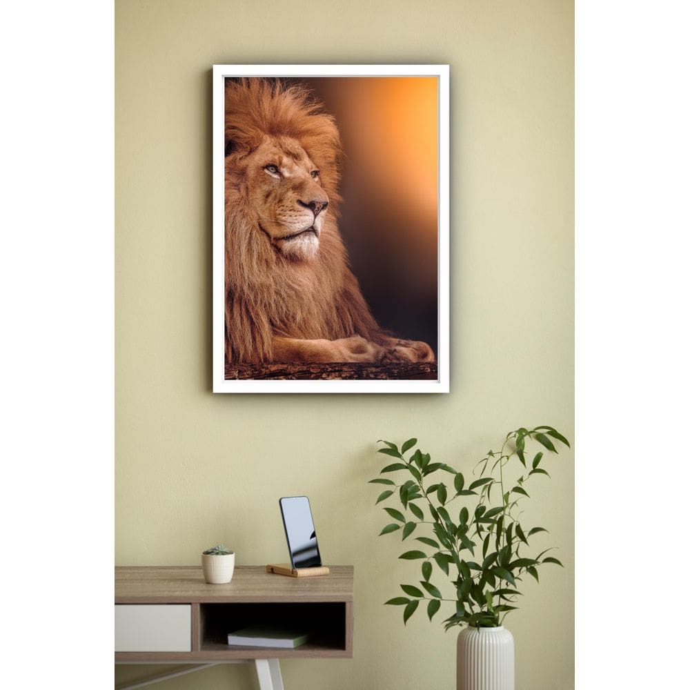 Quadro Decorativo Fotografia Leão Sol - 70X50Cm