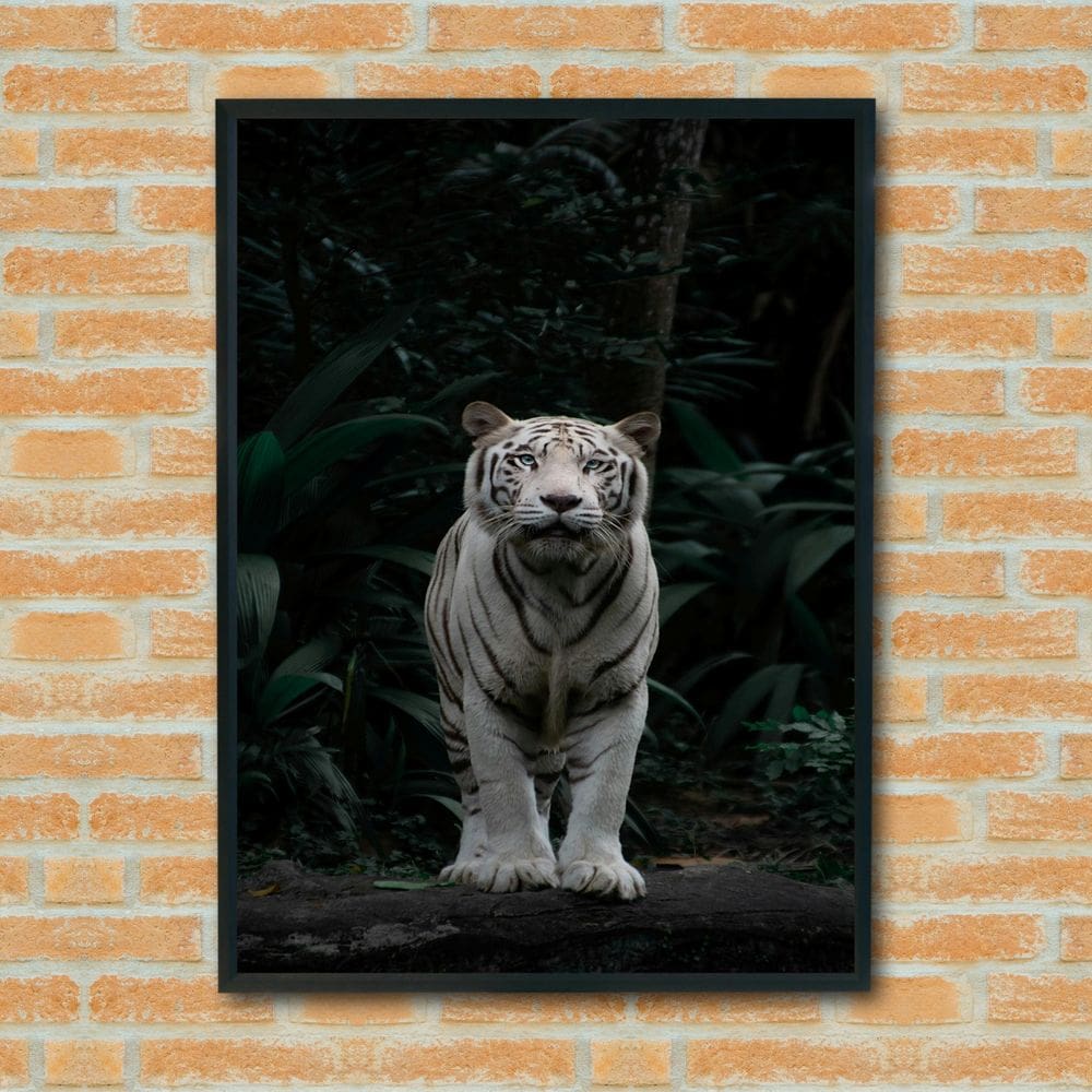 MP - Quadro Decorativo Fotografia Tigre Branc