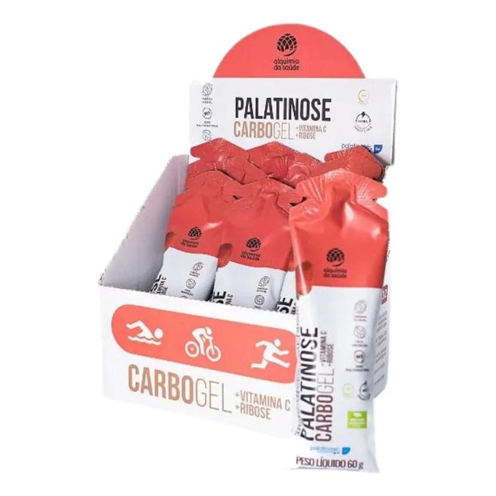 2X Suplemento En Gel Alquimia Da Saúde Carboidratos Sabor Mo