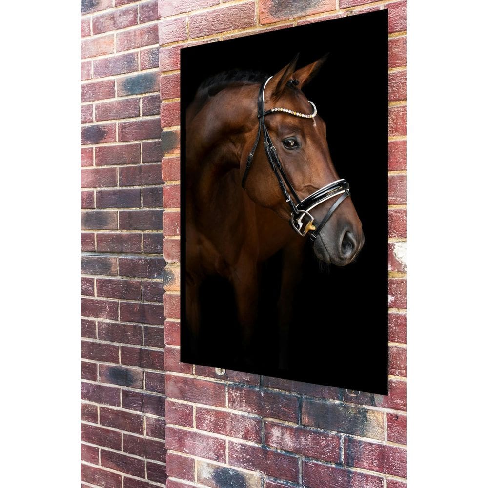 MP - Quadro Decorativo Fotografia Cavalo Perf