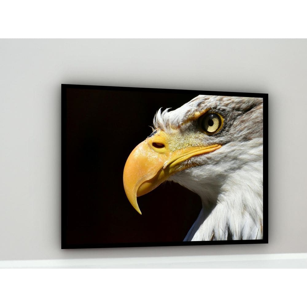 Quadro Decorativo Fotografia Perfil Águia - 70X50Cm