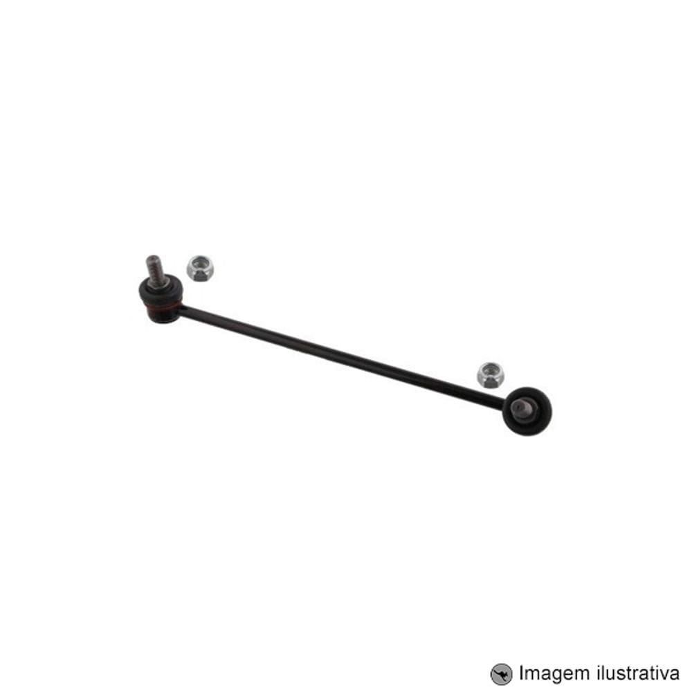 Bieleta Carnival 2006 ... 2014