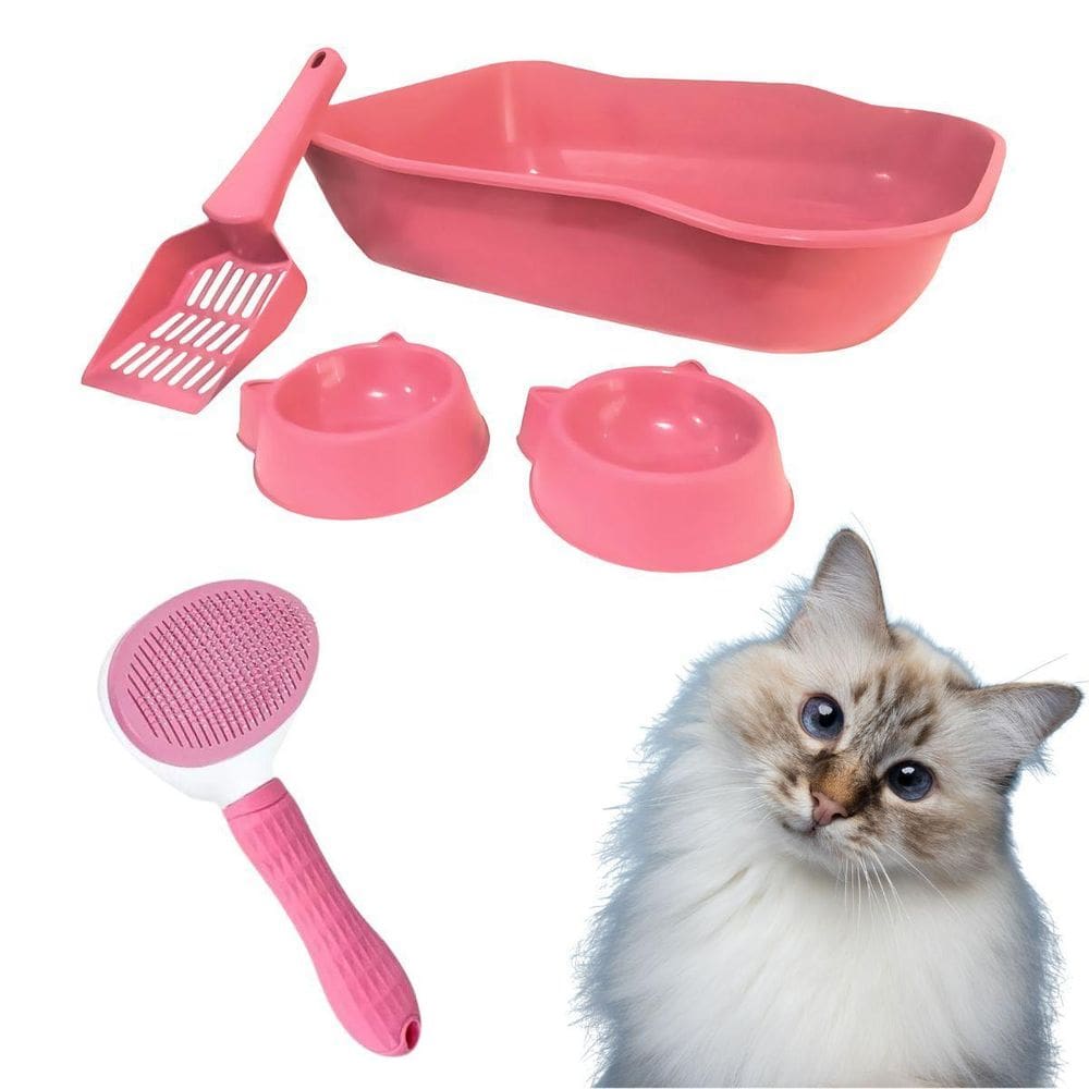 Kit Higiênico Caixa De Areia E Escova Rasqueadeira