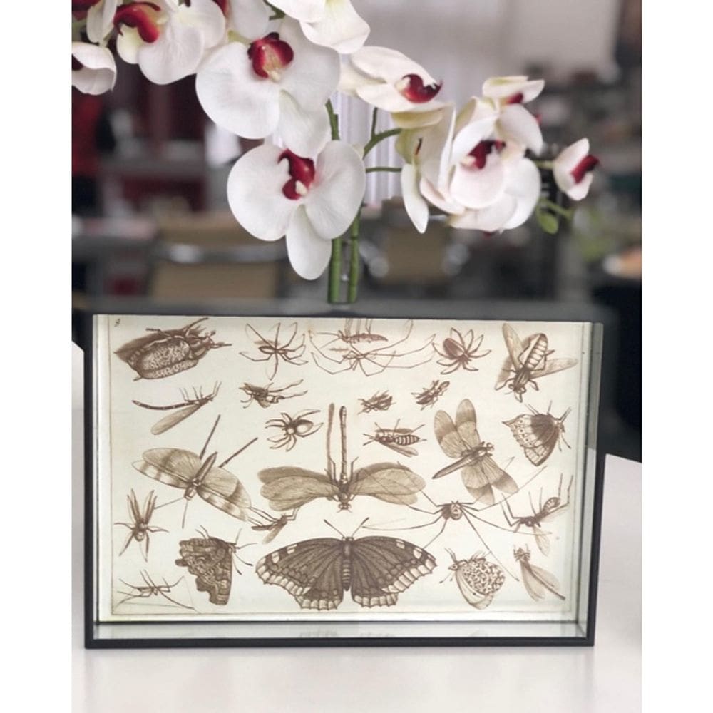 Bandeja borboletas de vidro e metal 30x20x4 Enjoy